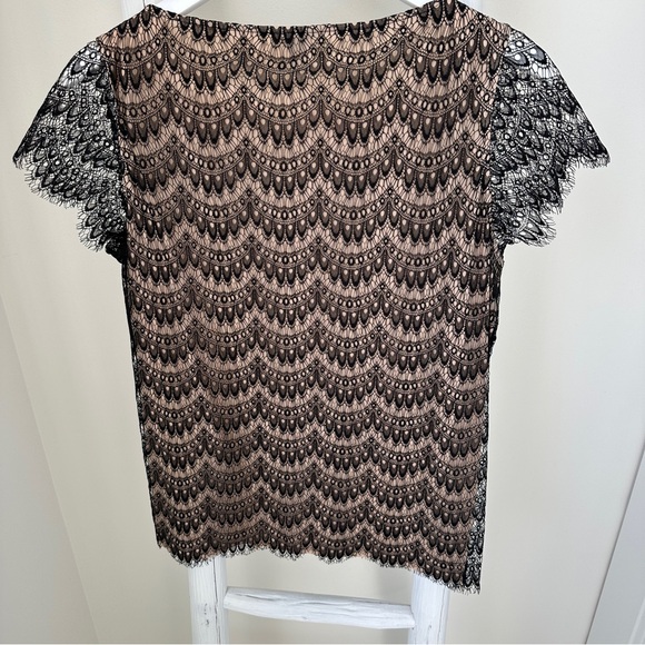 Ann Taylor Black Lace Overlay Blouse with Tan Cotton Lining Size Large - Picture 3 of 11